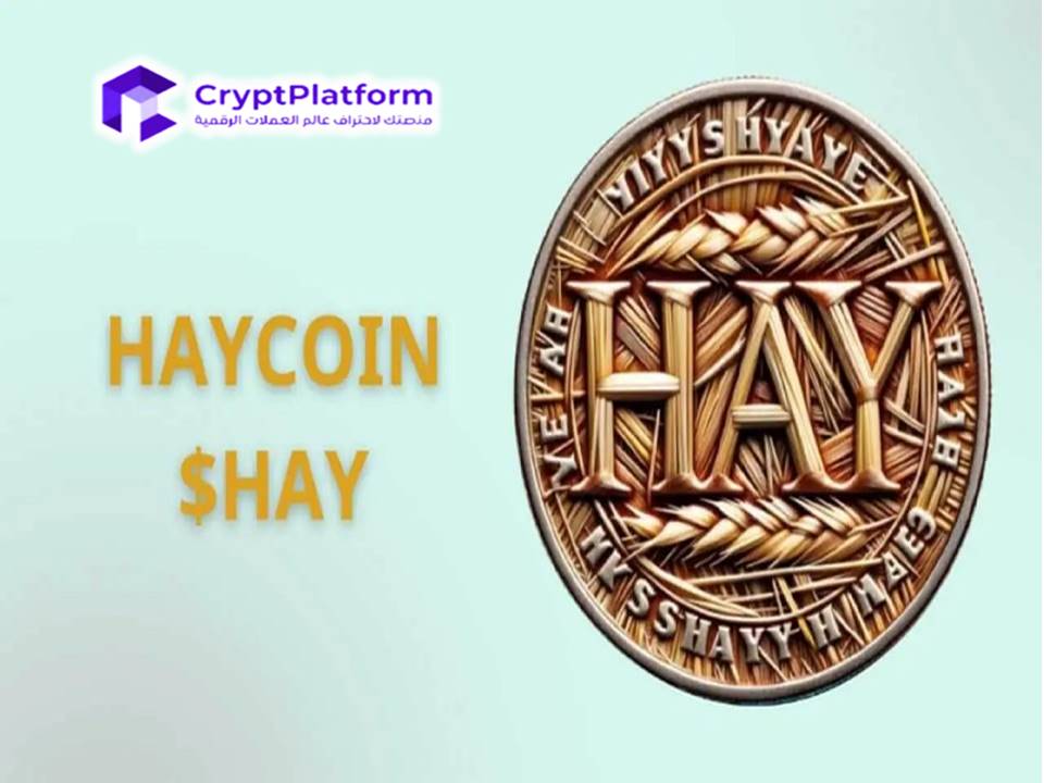 انفجار سعر عملة HayCoin (HAY) إلى 2,392,640$- ما هو السبب؟