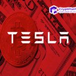 بعد شركة SpaceX، تراهن كاثي وود بقوة على Tesla Stock التابعة لإيلون ماسك بشراء أسهم بقيمة 38 مليون دولار