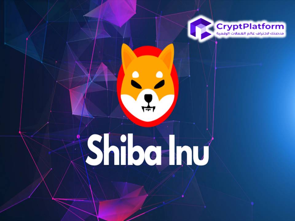 تحليل أسعار عملة Shiba Inu مع ارتفاع معدل حرق الرمز المميز مما أدى إلى ارتفاع SHIB.