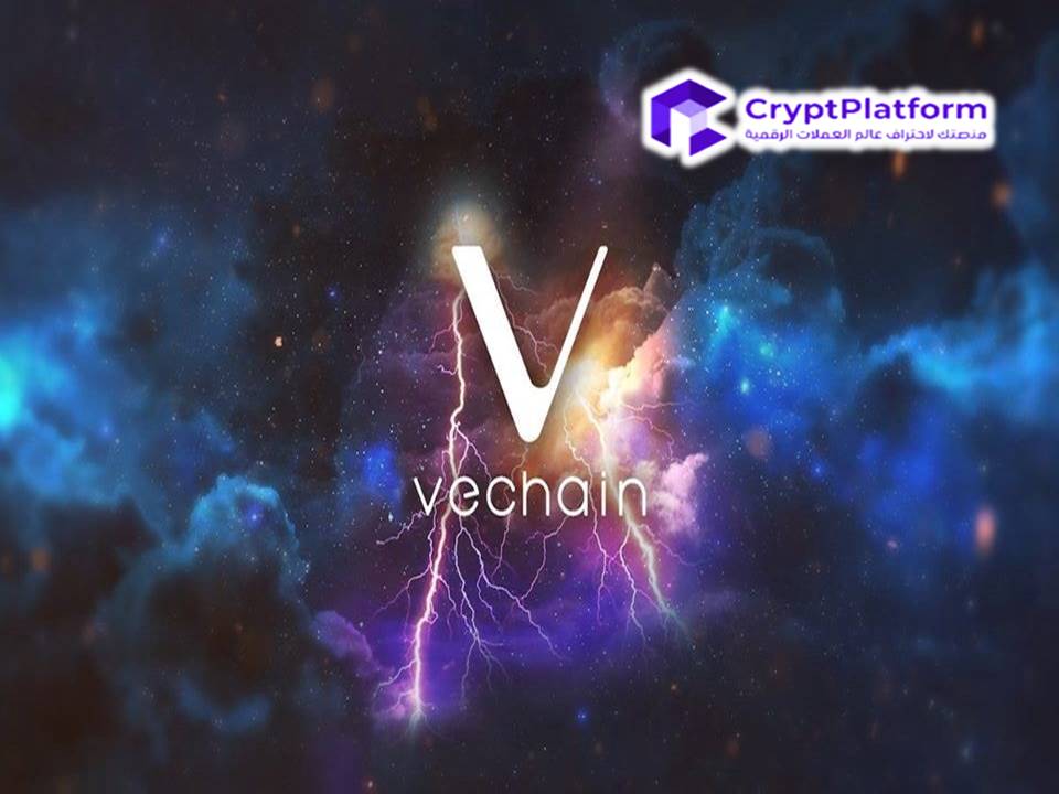 دليل شامل حول عملة ڤي تشين (VeChain – VET) . ما هو توكن (VET)؟ وكيف يعمل؟ وكيف يخزن؟ وحالات الاستخدام.