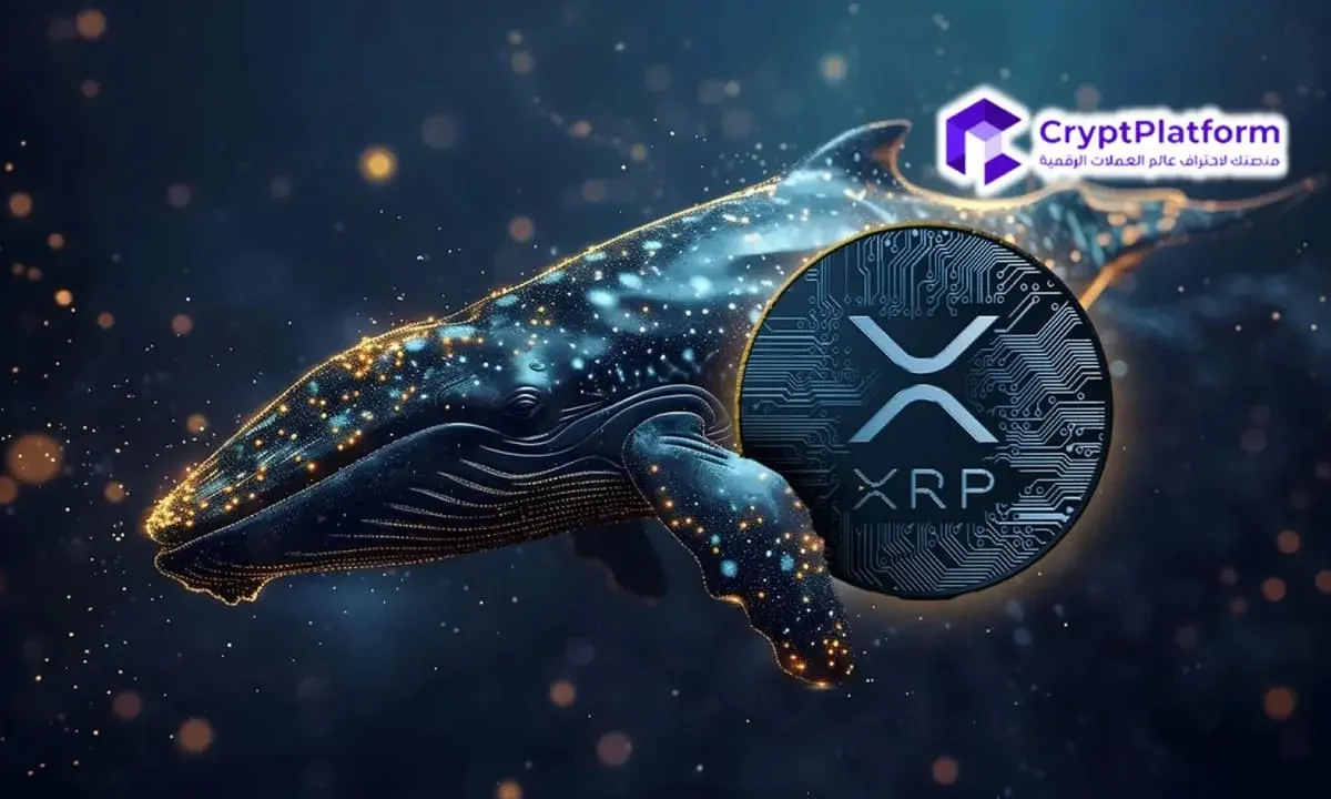 هل يصل سعر XRP إلى 6 دولارات إذا أعلنت Ripple عن طرحها الأولي؟