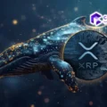 4 رموز XRP للشراء قبل الموافقة على صندوق الريبل المتداول في البورصة