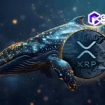 عملة XRP تواجه مخاطر محدودة في مجال الحوسبة الكمومية، حيث لا تتجاوز نسبة المخاطر 0.03%.