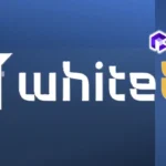 شركة WhiteBIT تحصل على ترخيص وسيط في ولاية جورجيا