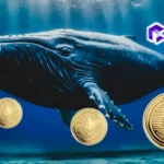 حيتان إيثيريوم تشتري ما قيمته 375 مليون دولار من عملة إيثيريوم وسط ترقية ERC-8004 هذا الأسبوع