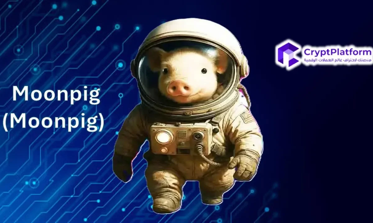 قام أندرو تيت بحرق كل الـ 20 مليون رمز Moonpig التي تلقاها جيمس وين.