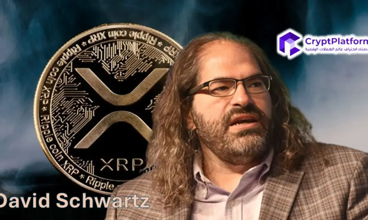 أشاد المدير التقني لشركة Ripple بالبنية التحتية لـ XRPL وسط مزاعم التلاعب بأسعار XRP