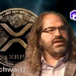 يقول ديفيد شوارتز إن عملة XRP تتفوق على العملات المستقرة في 3 جوانب رئيسية